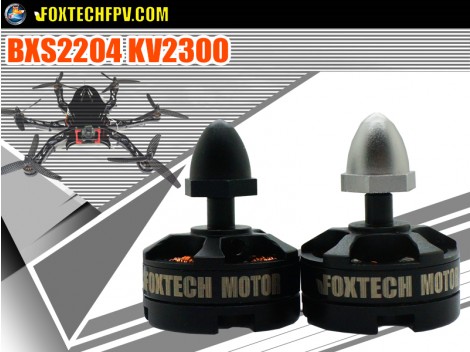 Foxtech Brushless Motor BX2204 KV2300 CW/CCW