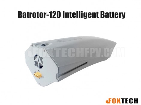 8S 21Ah Intelligent Battery for Batrotor-120 Quadcopter