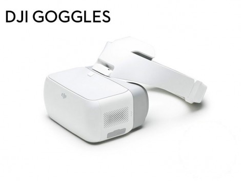 DJI Goggles