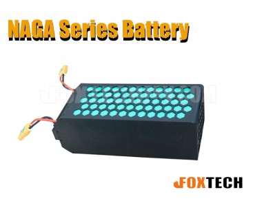 NAGA Series Battery