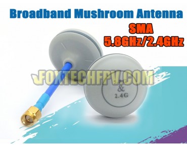 Dualband Mushroom Antenna 