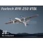 Foxtech AYK-250 VTOL