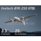 Foxtech AYK-250 VTOL