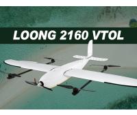 Foxtech Loong 2160 VTOL