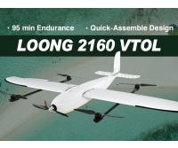 Foxtech Loong 2160 VTOL